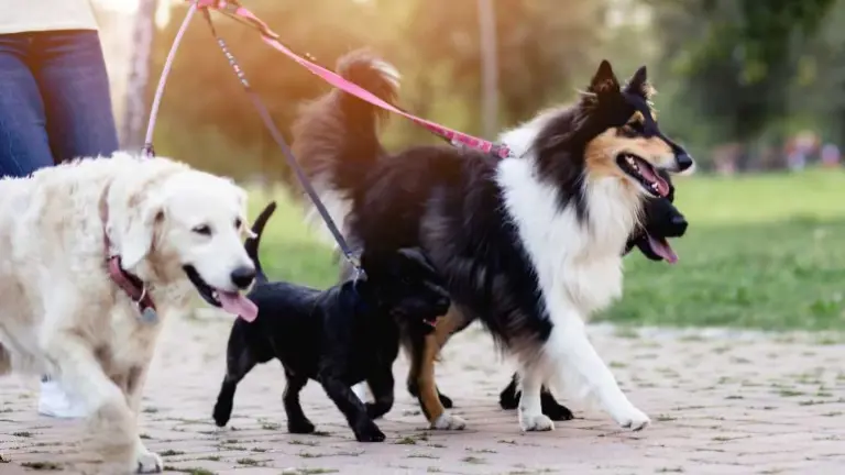 Reliable, Established Client Base