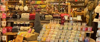 Dual Business Opportunity: Metaphysical + Adult Shop