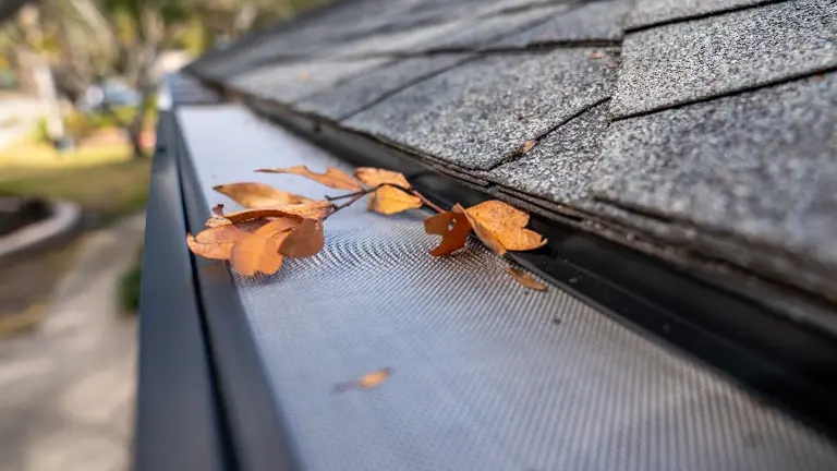 Gutter Guard