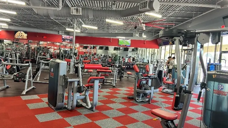 Strength Equipment Strength Equipment