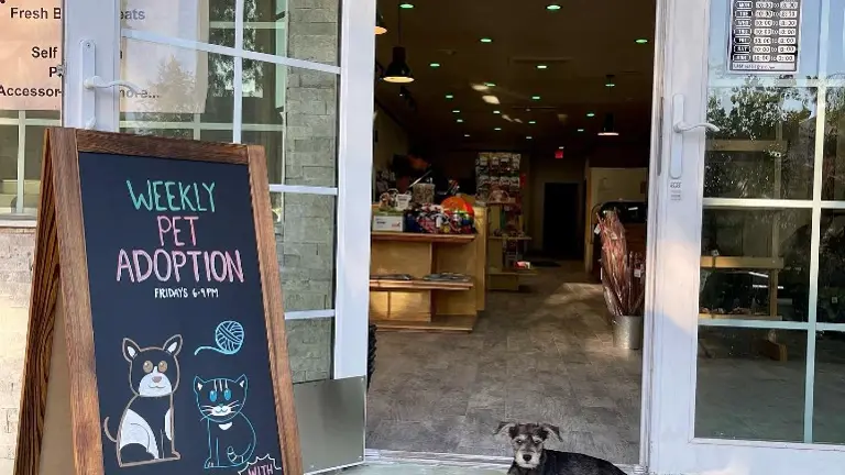 Special Events at PetNMind Special Events at PetNMind