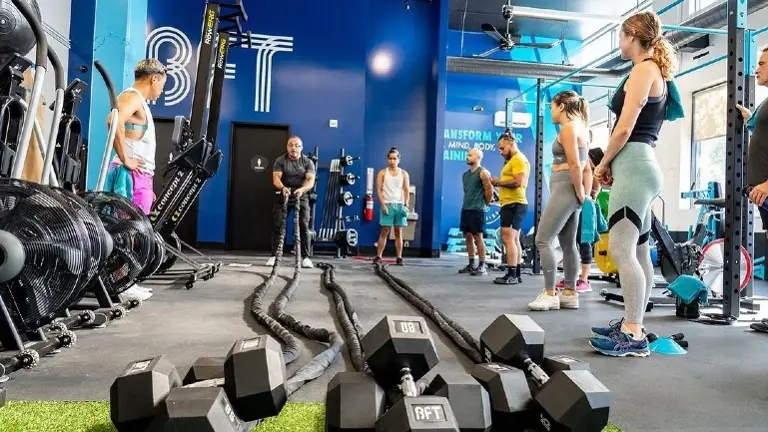 Balanced training with programmed progressive resistance