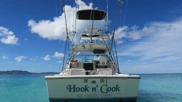 Twin diesel Pursuit express sport Twin diesel Pursuit express sport