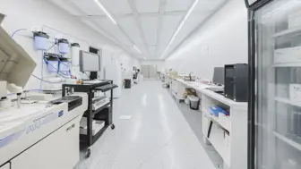 Exceptional Opportunity