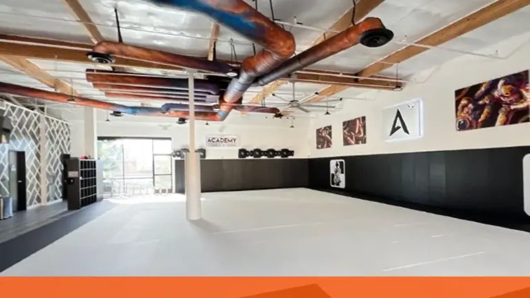 Repairs and restores properties damaged by water, fire, mold, or other disasters to their pre-loss condition quickly and safely