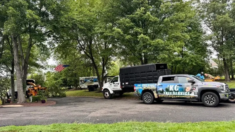 Complete equipment to perform an entire tree removal, from stump grinding, trucks, bucket truck, woodchippers, mini loader and Toyota tundra. Complete equipment to perform an entire tree removal, from stump grinding, trucks, bucket truck, woodchippers, mini loader and Toyota tundra.