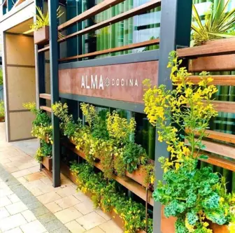 Alma Cocina Buckhead Atlanta GA Peachtree Rd Restaurant for Sale