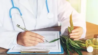 Premier Hemp Lifestyle & Wellness Store