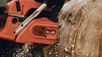 Established Full Service Tree Business Santa Clara Co, CA