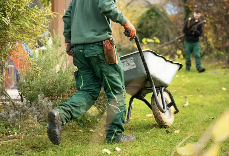 Stock Image. Stock Image.