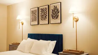 Wireless Home Lighting eCommerce DTC Brand | Strong YOY Growth