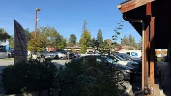 Indian and Nepalese restaurant for sale in Redwood City in Hills