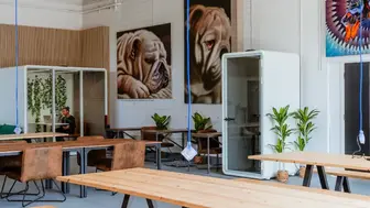 Unique, Turnkey Dog Daycare & Coworking Cafe on 13k sq ft Porperty