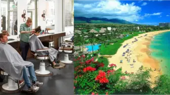 Master Franchise - Top Well-known Franchise Brand - San Diego, CA + HI