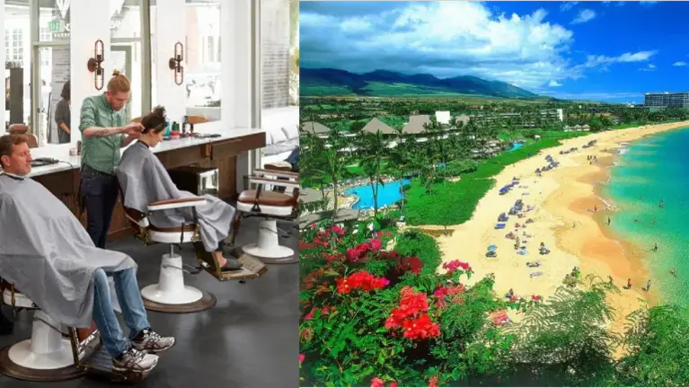 Master Franchise - Top Well-known Franchise Brand - $417K Income – Hawaii, CA and AZ Master Franchise - Top Well-known Franchise Brand - $417K Income – Hawaii, CA and AZ