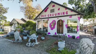 Pet Grooming in Pasadena!