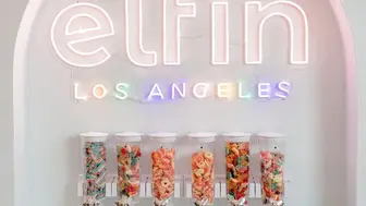 Elfin Los Angeles, Omnichannel Boutique