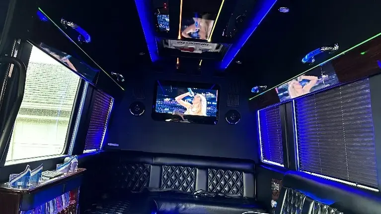 Limo Van Interior