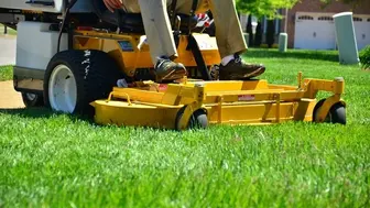 Established Lawncare Company – 67 Accounts, Turnkey Operations