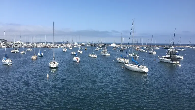 View from the business's plaza