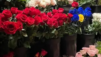 Established Florist for Sale in New York