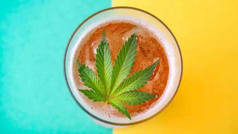 Cannabis and Hemp Beverages Cannabis and Hemp Beverages