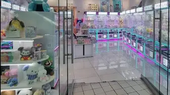 Start with minimal capital. 100% employee-operated claw machine arcade
