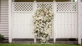 Easily Run Fencing Company Booked Out For Months!