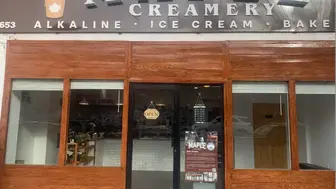 Premium-sourced (Vegan) Ice Cream Business