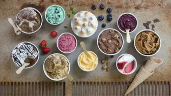 Profitable Ice Cream Manufacturing & Franchise Business for Sale