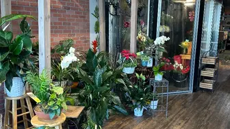 Long established florist in booming Sarasota, FL