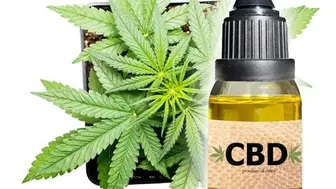 Established Busy CBD Shop For Sale