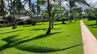 Turnkey Landscaping & Outdoor Design Company for Sale