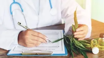 Medical Cannabis Card Consulting – Trusted for 8 Year