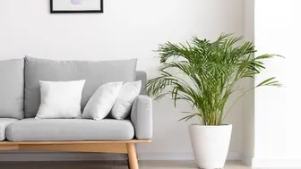 Home Furnishing Design Business For Sale | Semi-Absentee