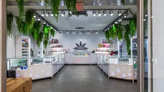 Established Adult-Use Cannabis Shop with Loyal Following