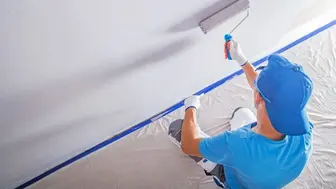 Established Painting Business in St. Louis County!