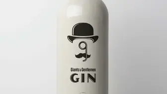 Award Winning Gin Brand for sale - perfect for entrepreneurs
