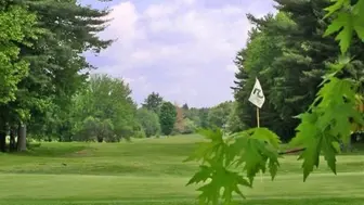 Hillsborough County Golf Course & Investment Opportunity