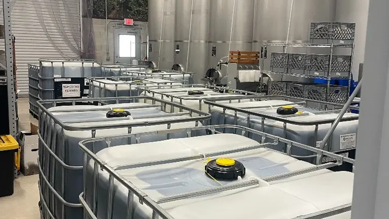 2025 harvest Season Oil delivery