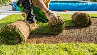 Well Known - Long Island South Fork Landscape Company Available