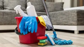 Residential Cleaning Business