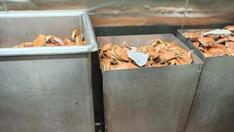 Established Seafood/Crab house Restaurant for Sale – Near Baltimore