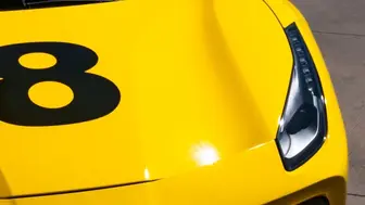 Automotive Wraps & PPF & Tint – Turnkey Model with National Presence