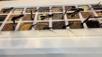 Turnkey Ice Cream Shop for Sale