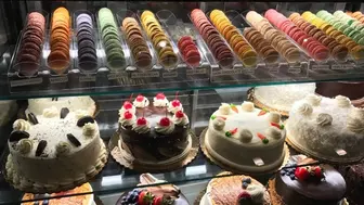 Northeast Philly Bakery for Sale