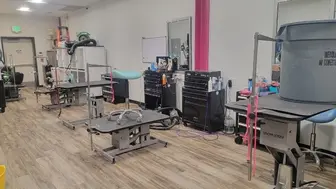 Dog Grooming Business for Sale in Austin TX