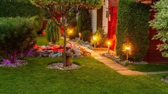 Established Landscape, Lighting & Irrigation Company | Turnkey