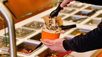 Frozen Yogurt Franchise or Independent Operation Opportunity