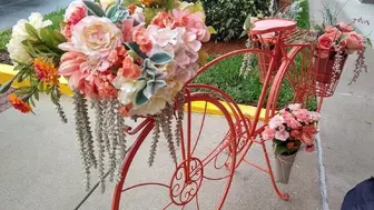 Unique Concept Creperie